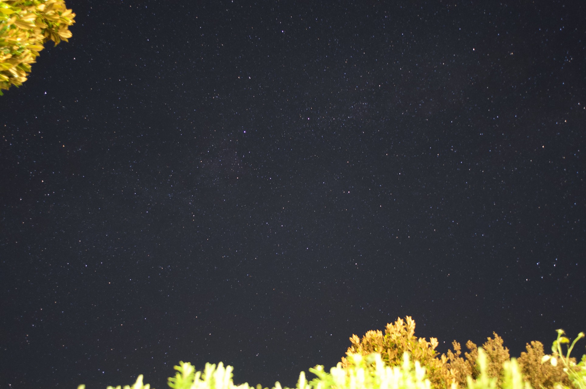 I 3 binocoli migliori per osservare le stelle